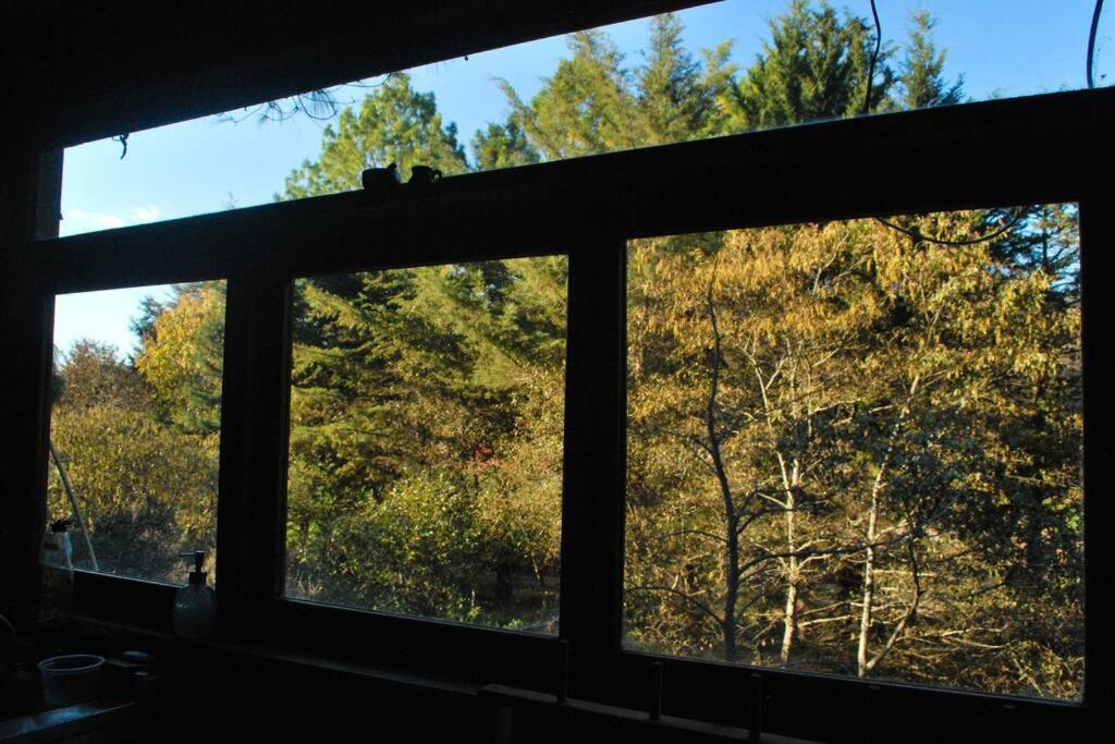 Hostal Casa 4 Estaciones, Coliving & Nature San Cristóbal de Las Casas المظهر الخارجي الصورة