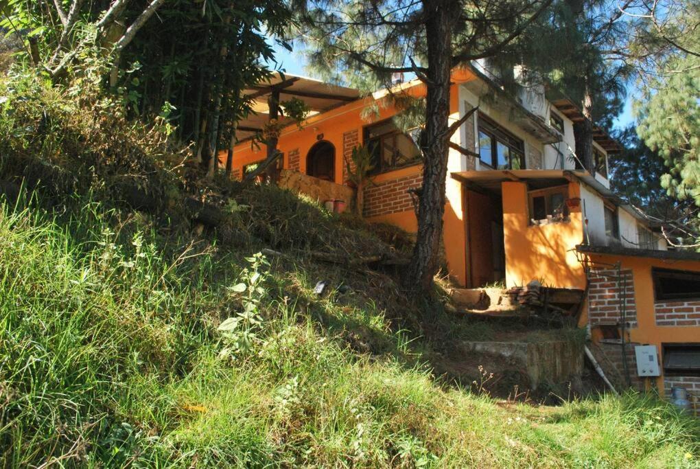 Hostal Casa 4 Estaciones, Coliving & Nature San Cristóbal de Las Casas المظهر الخارجي الصورة
