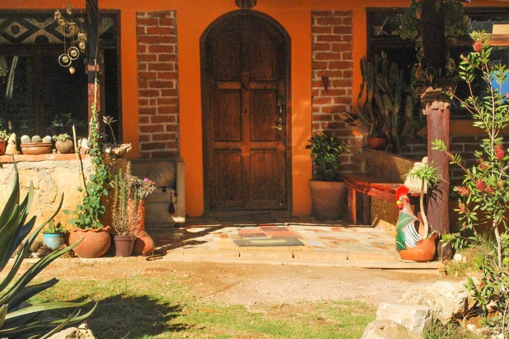 Hostal Casa 4 Estaciones, Coliving & Nature San Cristóbal de Las Casas المظهر الخارجي الصورة