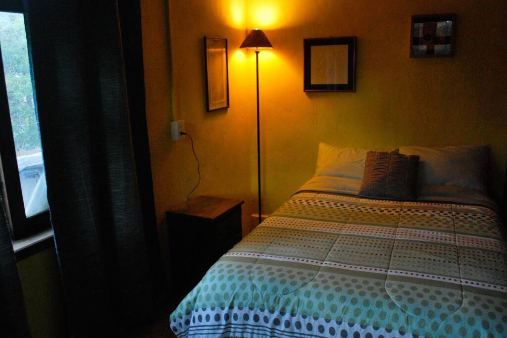 Hostal Casa 4 Estaciones, Coliving & Nature San Cristóbal de Las Casas المظهر الخارجي الصورة