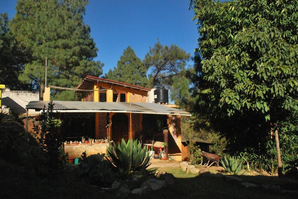 Hostal Casa 4 Estaciones, Coliving & Nature San Cristóbal de Las Casas المظهر الخارجي الصورة
