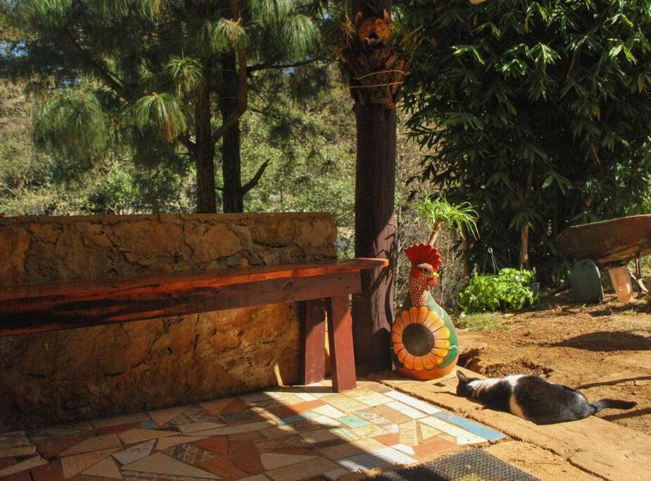 Hostal Casa 4 Estaciones, Coliving & Nature San Cristóbal de Las Casas المظهر الخارجي الصورة